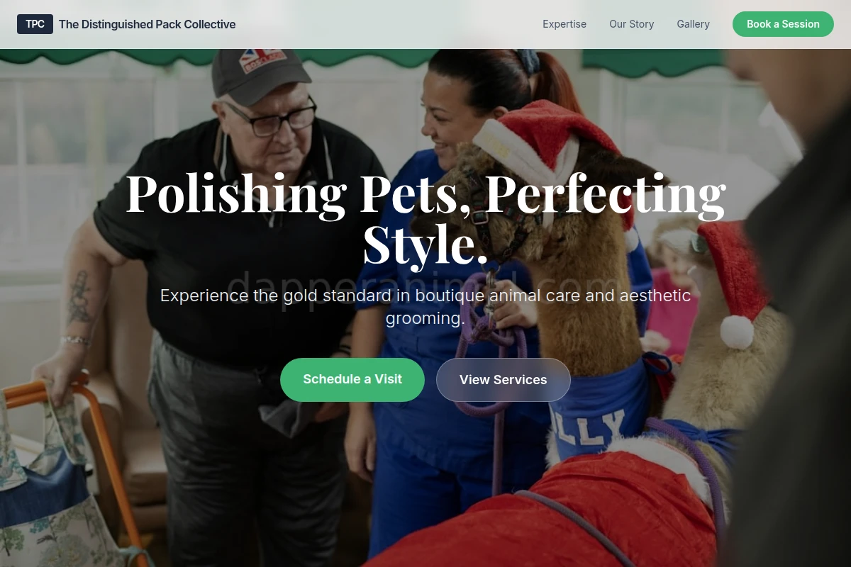 Collar Animal Care