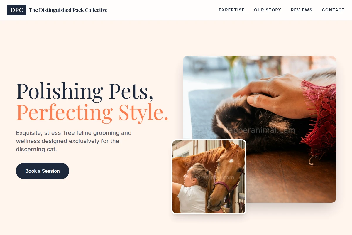 Feline Animal Care