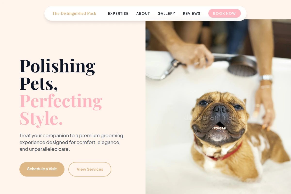 Groomed Pet Grooming
