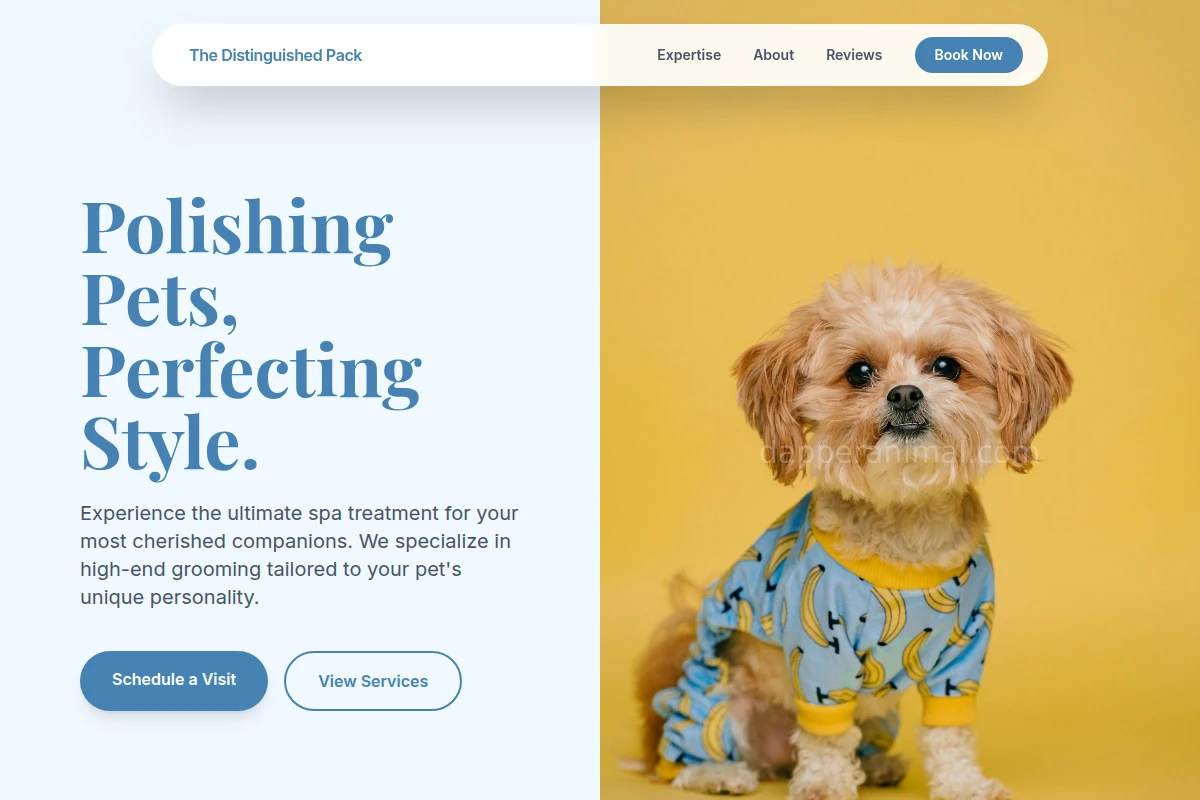 Collar Pet Grooming