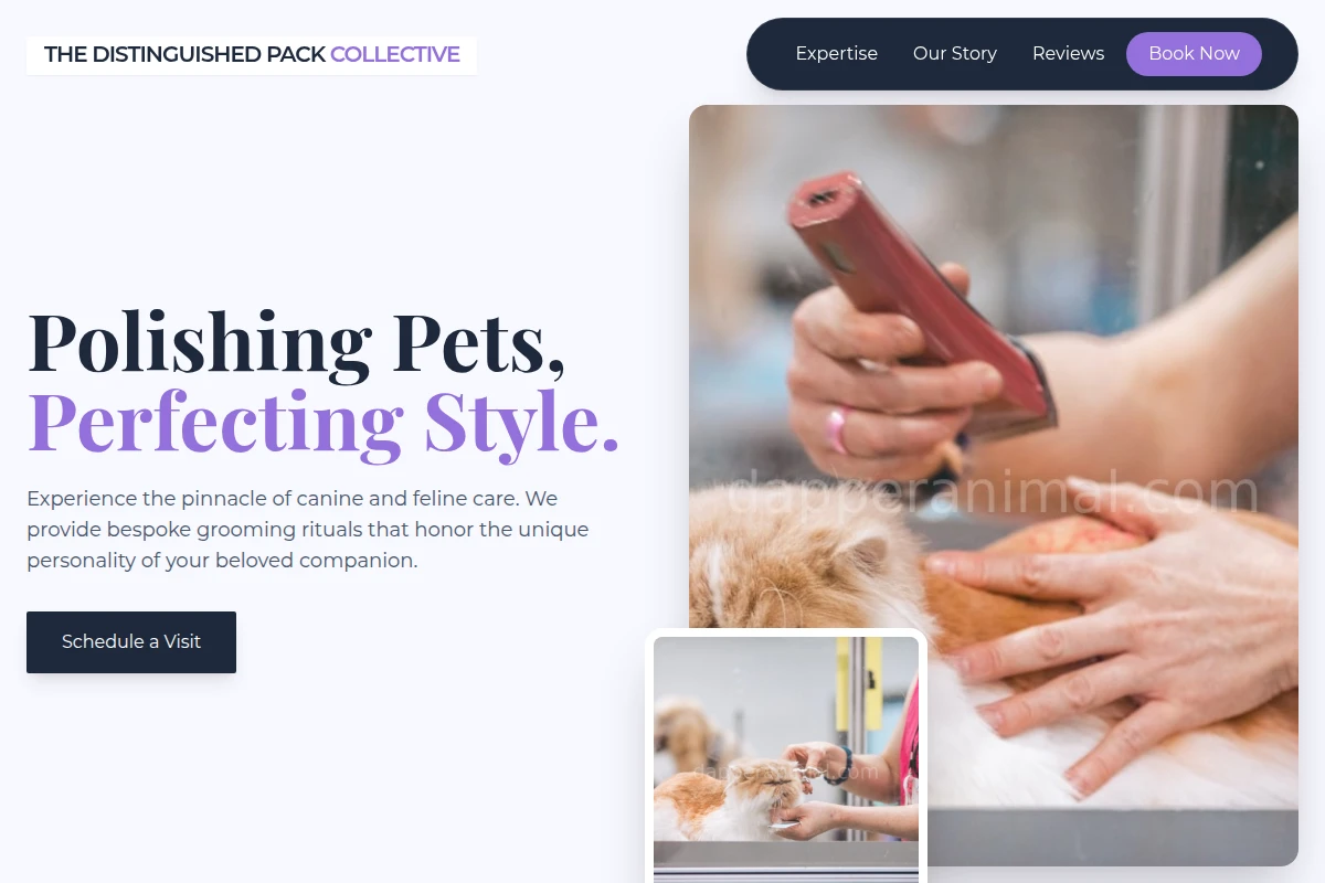 Satin Pet Grooming