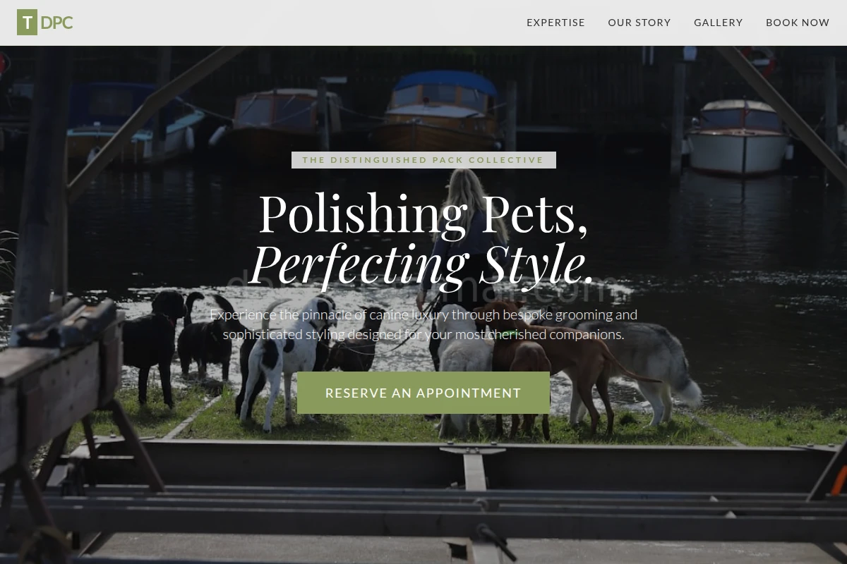 Companion Pet Services