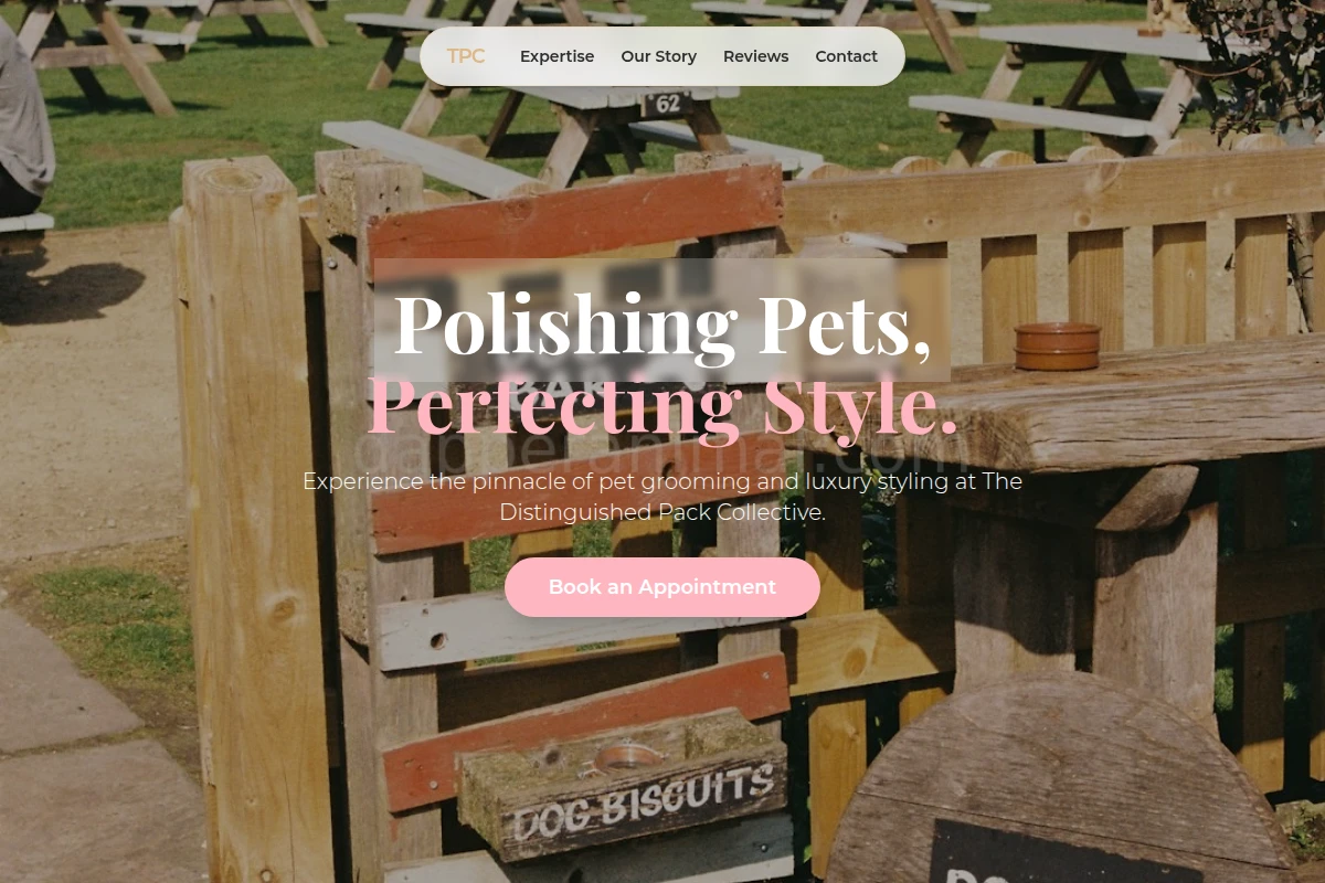 pet-services
