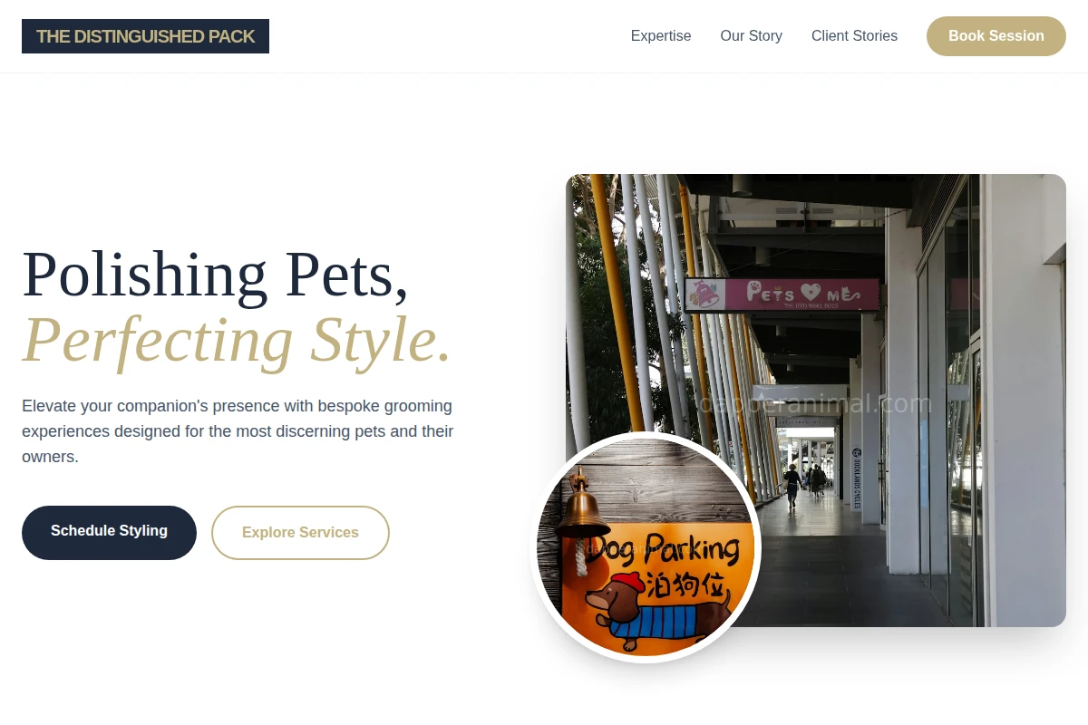 Dapper Pet Services