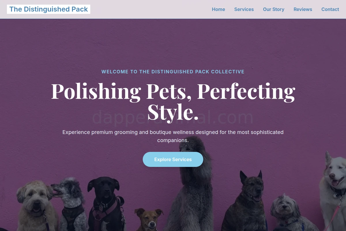 Paw Pet Shop
